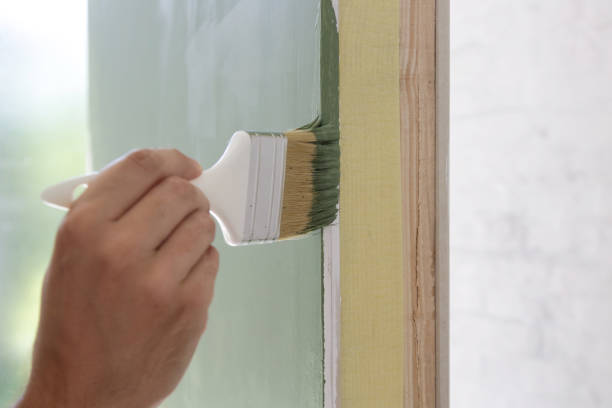 Best Post-Construction Mold Inspection  in Harvey, ND