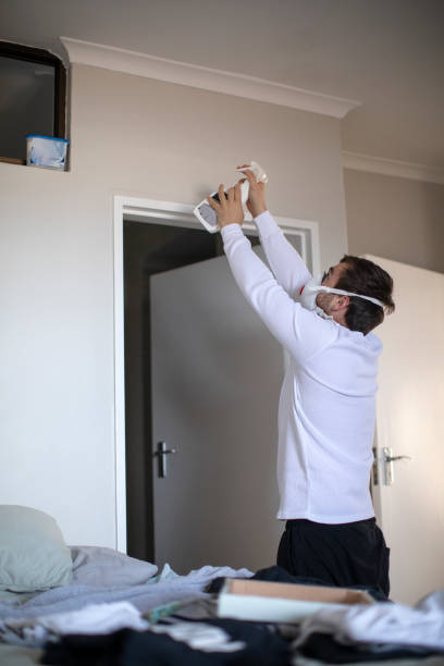 Best Mold Documentation for Insurance Claims  in Harvey, ND