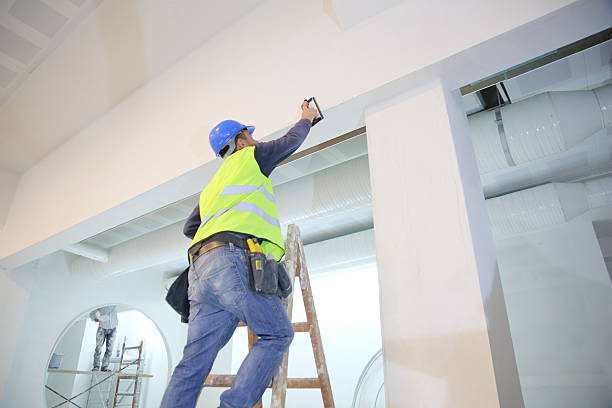 Best Attic Mold Removal  in Harvey, ND